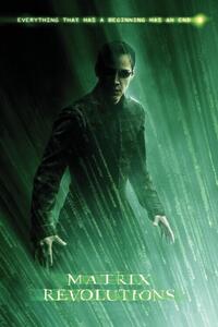 Umjetnički plakat Matrix Revolutions - Neo, (26.7 x 40 cm)