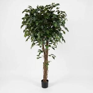 Umjetni fikus 170 cm - zelena - 151 - 180 cm