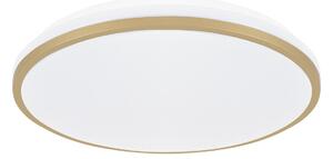 LINUS LED C 24W STROPNA SVJETILJKA