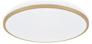 LINUS LED C 18W STROPNA SVJETILJKA