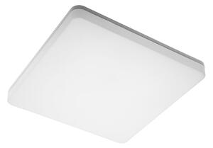LED PLAFONJERA BESA 24W 4000K IP54