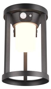 LED vanjska svjetiljka sa senzorom pokreta (visina 21 cm) Carmo – Trio