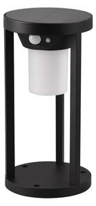 LED vanjska svjetiljka sa senzorom pokreta (visina 25 cm) Carmo – Trio