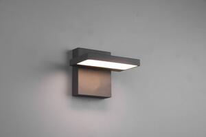 LED vanjska svjetiljka (visina 12 cm) Horton – Trio