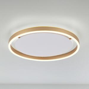 LED stropna svjetiljka Ritus, Ø 39,3cm mesing mat