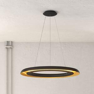 Shiitake LED viseće svjetlo, crno/zlatno