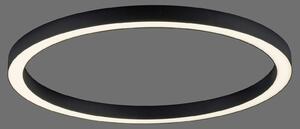 PURE LED stropna svjetiljka Lines, Ø 70 cm, antracit, CCT, daljinski upravljač, prigušiva, Crno, Dnevni boravak/blagovaonica, Metal