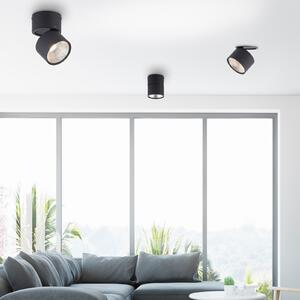 PURE Nola LED stropna svjetiljka, jedna žarulja, crna