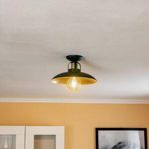 Stropna lampa Felix, zelena/zlatna