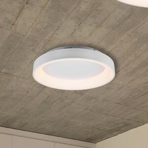 Trio Lighting Girona LED stropna svjetiljka s daljinskim upravljačem, bijela, prigušiva, Bijela, Dnevni boravak/blagovaonica, Metal