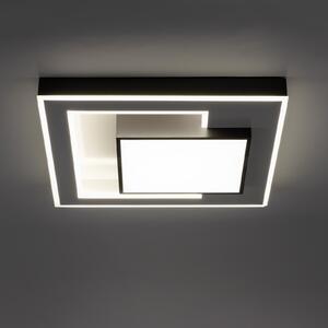 Paul Neuhaus Q-Alta LED stropna svjetiljka, 55x55cm