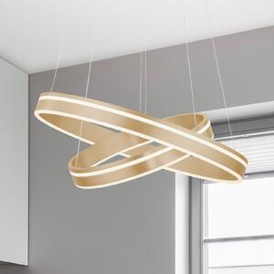 Paul Neuhaus Q-VITO LED visilica, 2 prstena