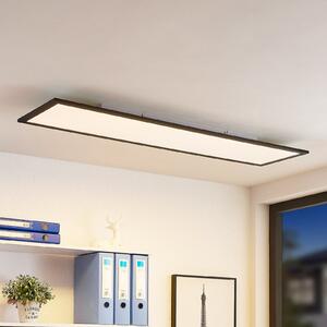 Lindby LED panel Nelios, 120 x 30 cm, CCT, crni, metal, prigušiva, Crno, Kuhinja, Plastika