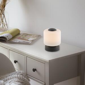 Paul Neuhaus LED stolna lampa Bota, antracit, staklo, prigušivanje