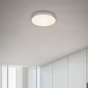 Flame LED stropna svjetiljka, Ø 21,2 cm, srebrna