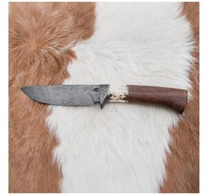 Lovački damask nož 11,8 cm orah/rog jelena