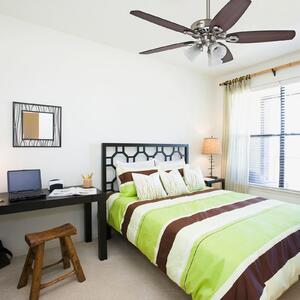 Hunter Builder Plus stropni ventilator s reverzibilnim lopaticama