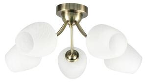 Nadgradni luster ZINA 5xE27/40W/230V mesing/bijela
