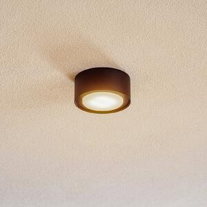 Nowodvorski Lighting Stropna svjetiljka protiv buha od čelika, crna, prigušiva, Crno, Dnevni boravak/blagovaonica, Metal