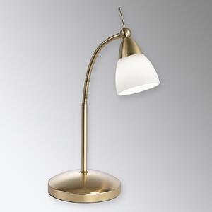 Paul Neuhaus stolna lampa Pino, mesing, 45 cm, prigušiva, G9