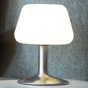 Paul Neuhaus stolna lampa Till, čelična boja, staklo, prigušivanje