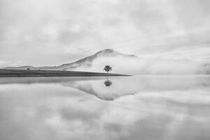 Fotografija Reflective trees on the lake, Thanh Thuy