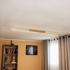 Quitani Niara LED stropna svjetiljka, krem eloksiran