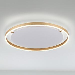 LED stropna svjetiljka Ritus, Ø 58,5 cm, mat mesing