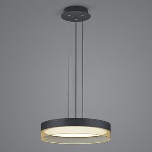 LED viseća svjetiljka Mesh, Ø 45 cm, crna/zlatna