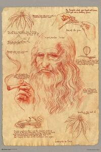 Poster Leonardo Smoking Pot, (61 x 91.5 cm)