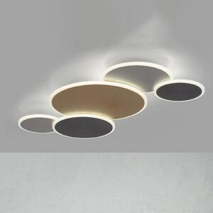 Q-Smart-Home Paul Neuhaus Q-Piato LED stropna svjetiljka s pet svjetala, prigušiva, Višebojno, Dnevni boravak/blagovaonica, Metal, Strop s više plamena
