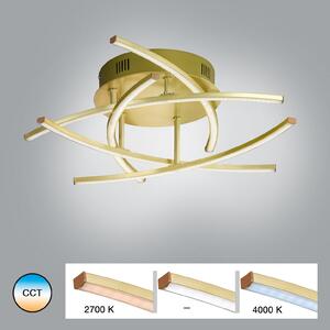 LED stropna svjetiljka Cross Tunable White, 5 žarulja, mesing