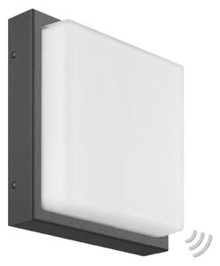 LED vanjska zidna lampa Ernest, grafit, detektor pokreta