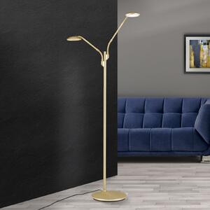Podna LED lampa Cobra, dvije žarulje, mat mesing