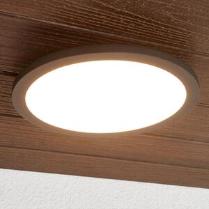 Lucande LED vanjska stropna svjetiljka Malena, detektor pokreta, IP65