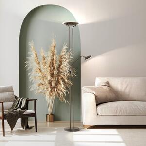 FISCHER & HONSEL LED podna lampa Tallri, crna, 180 cm, 2 žarulje, metal, CCT, prigušiva, Crno, Dnevni boravak/blagovaonica, Metal