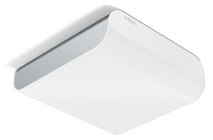 STEINEL 013646 - LED Stropna svjetiljka sa senzorom RS LED M2 LED/11W/230V