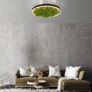 JUST LIGHT. GmbH LED stropna svjetiljka Green Ritus, mahovina prigušljiva Ø39,3cm, prigušiva, Zelena, Dnevni boravak/blagovaonica