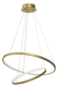 LED Luster na sajli HOOP LED/51W/230V pr. 60 cm 4000K zlatna