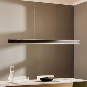 PURE Lume LED viseća svjetiljka, grafit, CCT, prigušiva, Crno, Dnevni boravak/blagovaonica, Metal