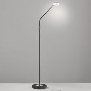 Dent LED podna svjetiljka, prigušiva, CCT, 1 žarulja. crno