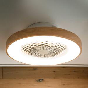 Pametni LED stropni ventilator Tibet, boja drveta, tihi, Ø 65 cm