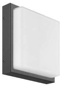 LED vanjska zidna lampa Ernest, grafit, 25 x 25 cm