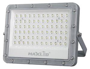 LED Vanjski reflektor LED/50W/230V 5000K IP65 siva