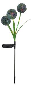 LED RGB Solarna svjetiljka ALLIUM LED/1,2V 6500 600 mAh IP44 crna