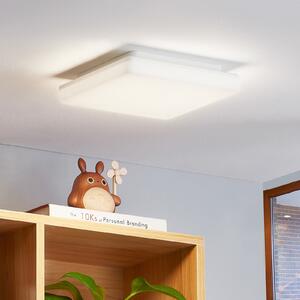 Prios Artin LED stropna svjetiljka, četvrtasta, 22 cm