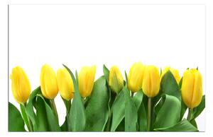 Slika na platnu - Žuti tulipani 103A (60x40 cm)