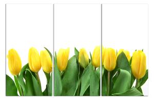 Slika na platnu - Žuti tulipani 103B (90x60 cm )