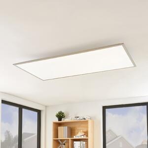 Lindby LED panel Stenley, CCT, 120 cm x 60 cm, mogućnost prigušivanja, prigušiva, Bijela, Kuhinja, Plastika