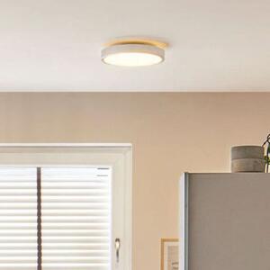 Paulmann Aviar LED stropna svjetiljka 2700K Ø 30cm krom